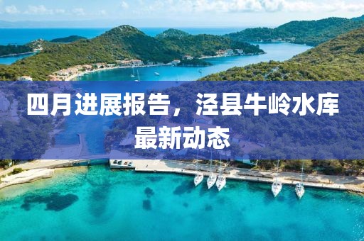 四月进展报告，泾县牛岭水库最新动态