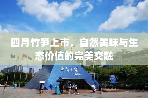 四月竹笋上市，自然美味与生态价值的完美交融