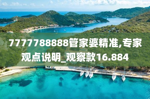 7777788888管家婆精准,专家观点说明_观察款16.884
