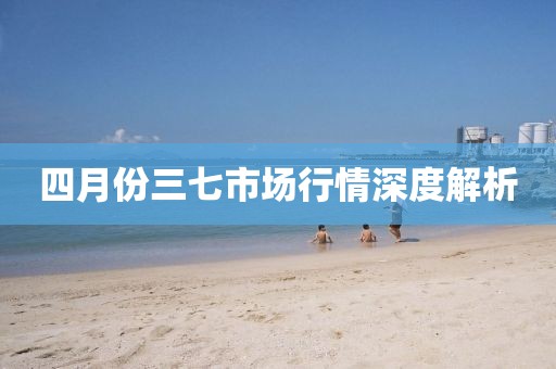 四月份三七市场行情深度解析