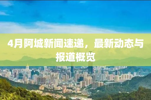 4月阿城新闻速递，最新动态与报道概览
