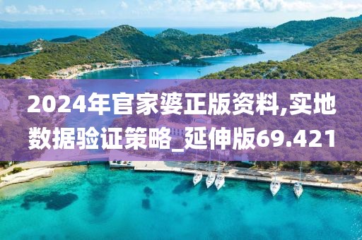 2024年官家婆正版资料,实地数据验证策略_延伸版69.421
