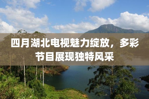 四月湖北电视魅力绽放，多彩节目展现独特风采