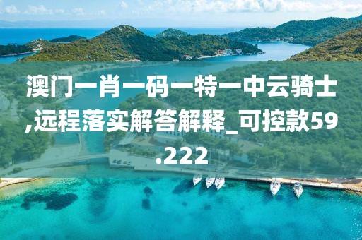 澳门一肖一码一特一中云骑士,远程落实解答解释_可控款59.222
