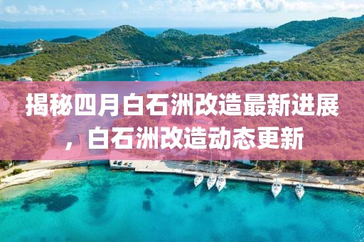 揭秘四月白石洲改造最新进展，白石洲改造动态更新