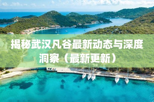 揭秘武汉凡谷最新动态与深度洞察（最新更新）