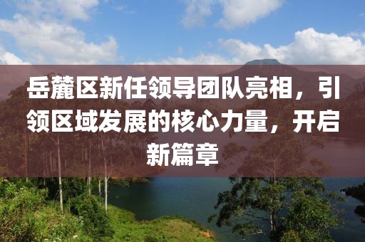 岳麓区新任领导团队亮相，引领区域发展的核心力量，开启新篇章