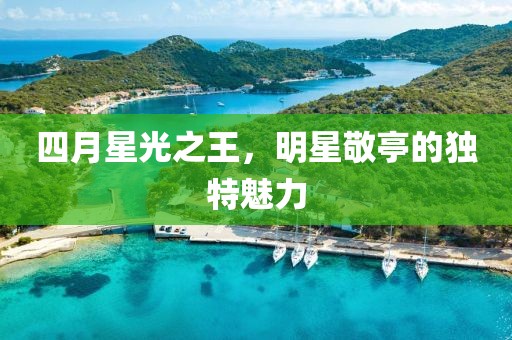 四月星光之王，明星敬亭的独特魅力