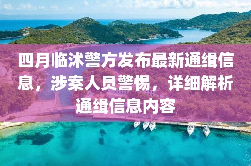 四月临沭警方发布最新通缉信息，涉案人员警惕，详细解析通缉信息内容