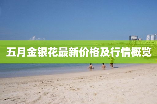 五月金银花最新价格及行情概览