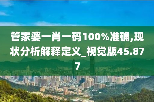 管家婆一肖一码100%准确,现状分析解释定义_视觉版45.877