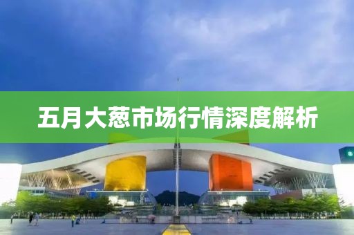 五月大葱市场行情深度解析