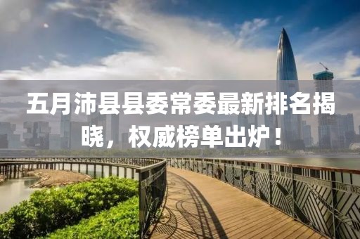 五月沛县县委常委最新排名揭晓，权威榜单出炉！