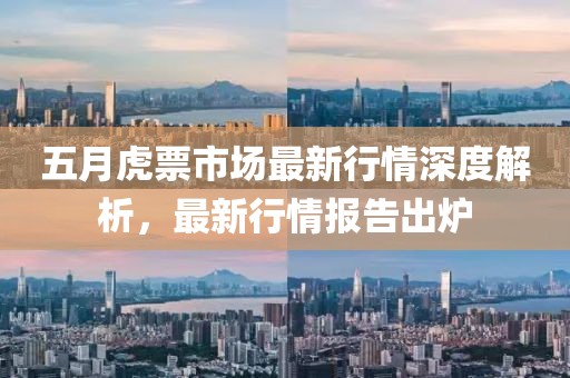 五月虎票市场最新行情深度解析，最新行情报告出炉