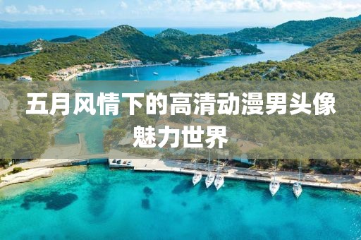 五月风情下的高清动漫男头像魅力世界