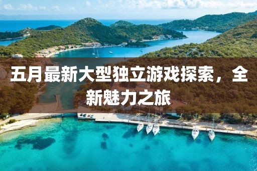 五月最新大型独立游戏探索，全新魅力之旅