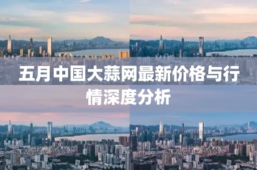 五月中国大蒜网最新价格与行情深度分析