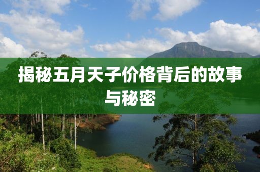揭秘五月天子价格背后的故事与秘密