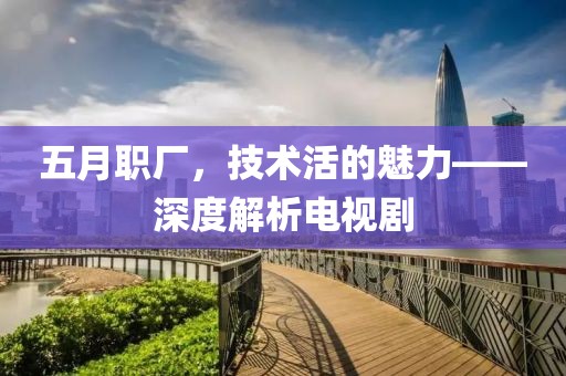 五月职厂，技术活的魅力——深度解析电视剧