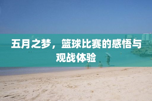 五月之梦，篮球比赛的感悟与观战体验