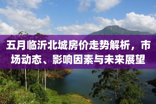 五月临沂北城房价走势解析，市场动态、影响因素与未来展望