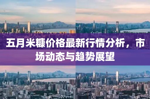 五月米糠价格最新行情分析，市场动态与趋势展望