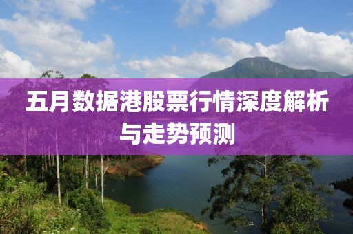 五月数据港股票行情深度解析与走势预测
