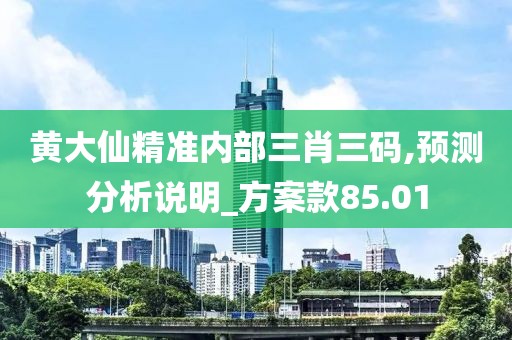 黄大仙精准内部三肖三码,预测分析说明_方案款85.01