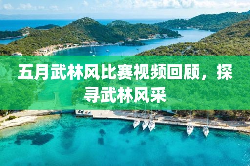 五月武林风比赛视频回顾，探寻武林风采