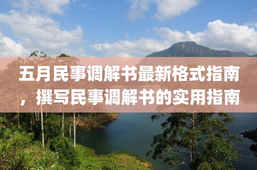 五月民事调解书最新格式指南，撰写民事调解书的实用指南