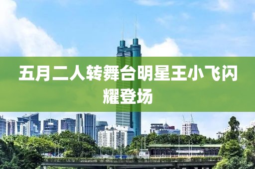 五月二人转舞台明星王小飞闪耀登场
