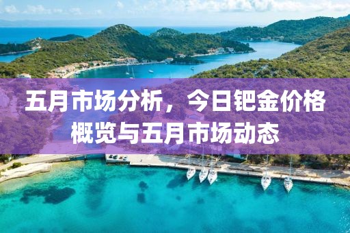 五月市场分析，今日钯金价格概览与五月市场动态