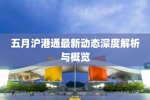 五月沪港通最新动态深度解析与概览
