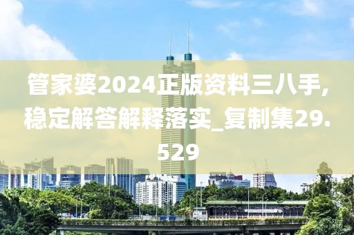 管家婆2024正版资料三八手,稳定解答解释落实_复制集29.529