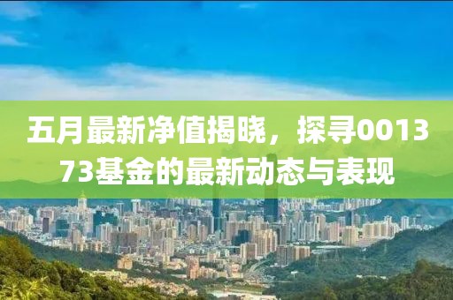 五月最新净值揭晓，探寻001373基金的最新动态与表现