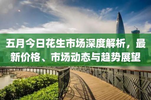 五月今日花生市场深度解析，最新价格、市场动态与趋势展望