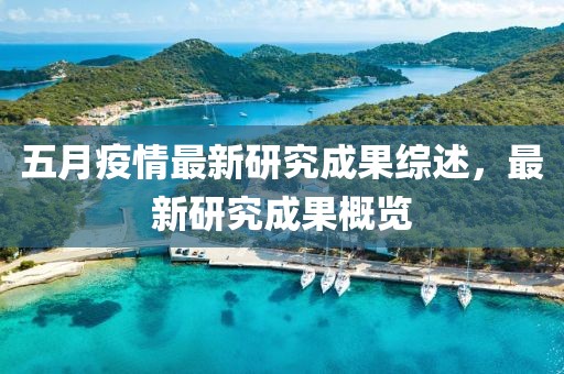 五月疫情最新研究成果综述，最新研究成果概览