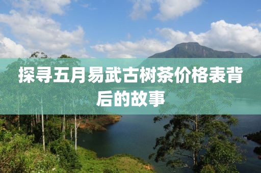 探寻五月易武古树茶价格表背后的故事