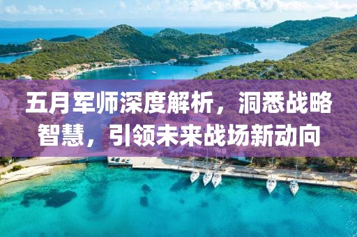 五月军师深度解析，洞悉战略智慧，引领未来战场新动向