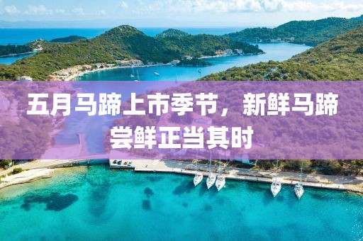 五月马蹄上市季节，新鲜马蹄尝鲜正当其时