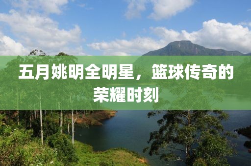 五月姚明全明星，篮球传奇的荣耀时刻