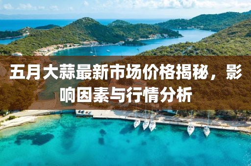 五月大蒜最新市场价格揭秘，影响因素与行情分析
