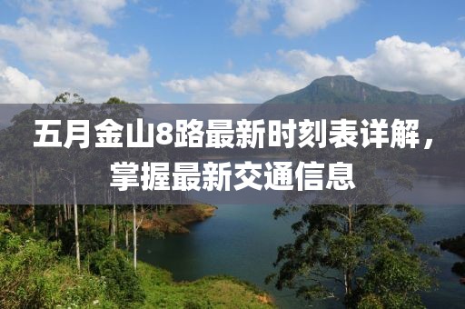 五月金山8路最新时刻表详解，掌握最新交通信息