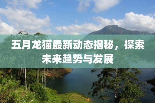 五月龙猫最新动态揭秘，探索未来趋势与发展