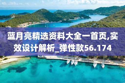 蓝月亮精选资料大全一首页,实效设计解析_弹性款56.174