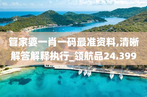 管家婆一肖一码最准资料,清晰解答解释执行_领航品24.399