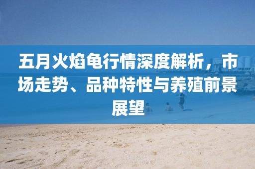 五月火焰龟行情深度解析，市场走势、品种特性与养殖前景展望