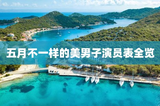 五月不一样的美男子演员表全览
