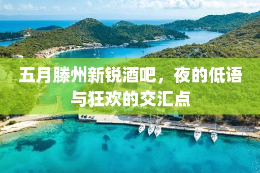 五月滕州新锐酒吧，夜的低语与狂欢的交汇点