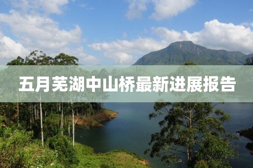 五月芜湖中山桥最新进展报告